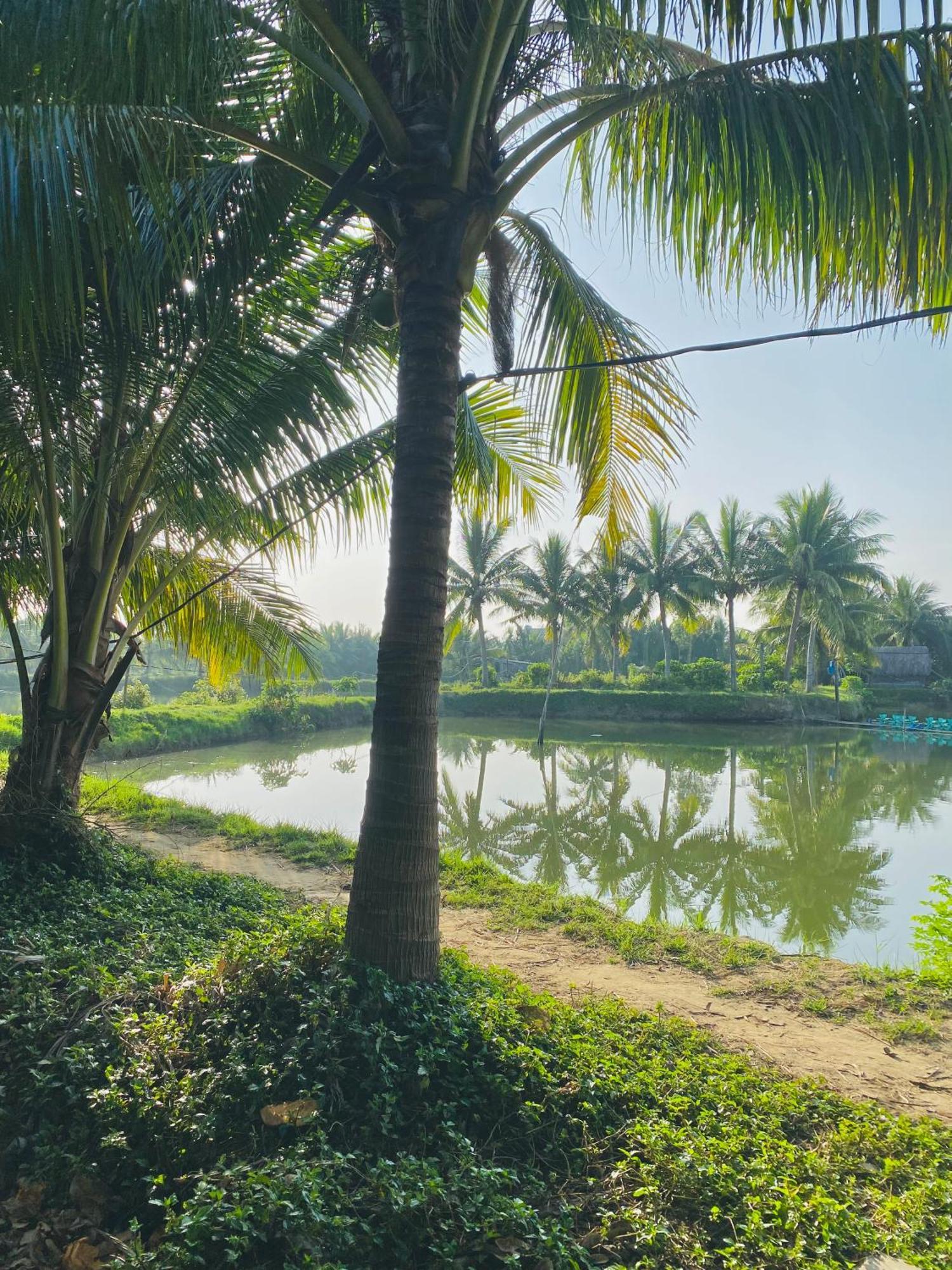 Laoxao Lakeview Homestay Hoi An Esterno foto