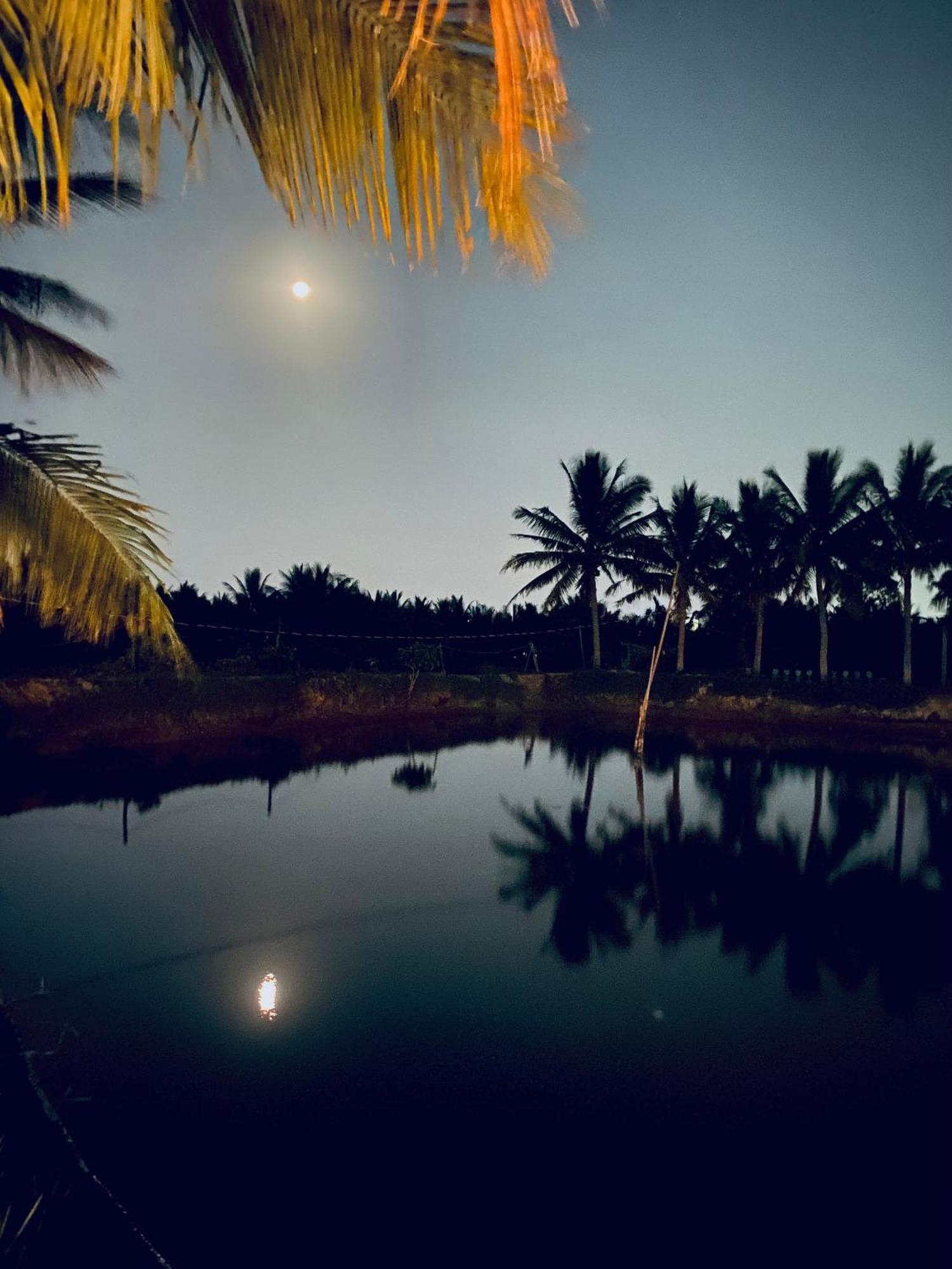 Laoxao Lakeview Homestay Hoi An Esterno foto